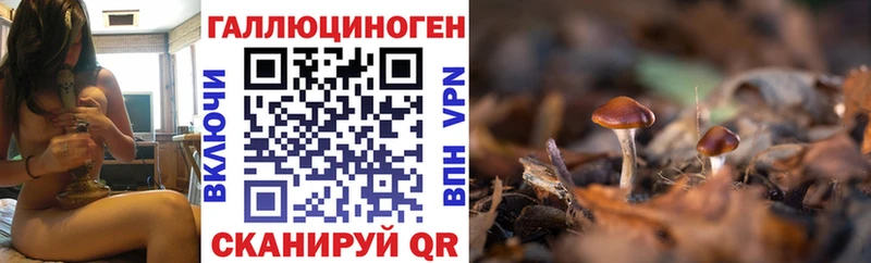 Псилоцибиновые грибы Magic Shrooms  Зубцов 